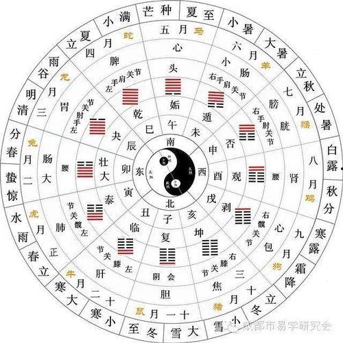 最新八卦爆料益阳天气,八卦爆料揭示最新天气奇观！”